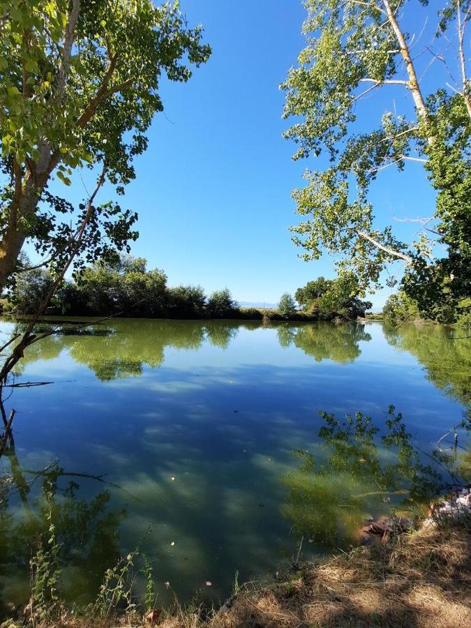 Appartamento Demeure De Charme Mazères Esterno foto