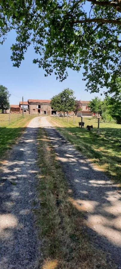 Appartamento Demeure De Charme Mazères Esterno foto
